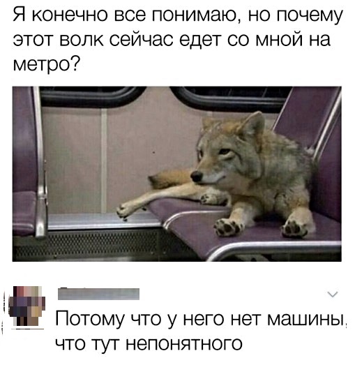 Картинки с надписями,истории и анекдоты