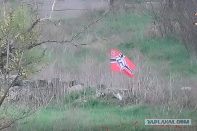 Может мир?