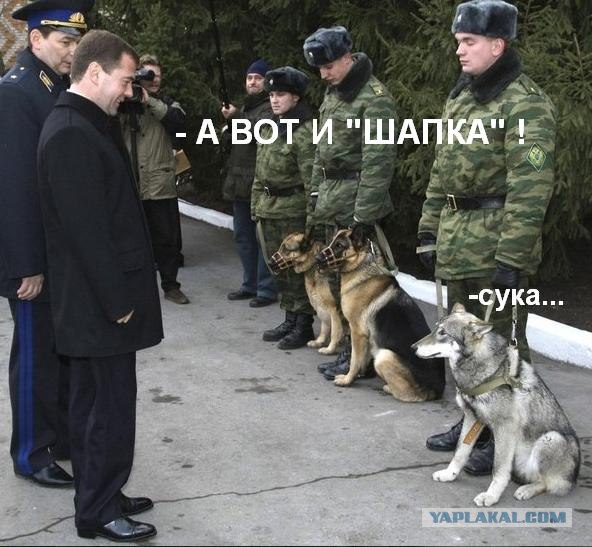 Россия и Аргентина