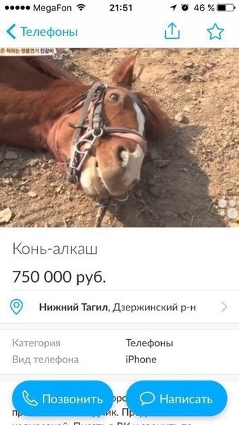 "Овуляшная демократия": как наши женщины выбирают будущее страны и должно ли у них быть на это право