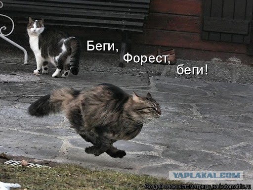 Знакомство по-взрослому