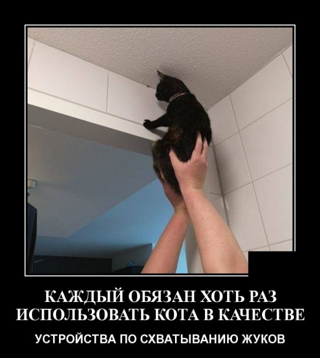 Почему "мельчают" мужчины?