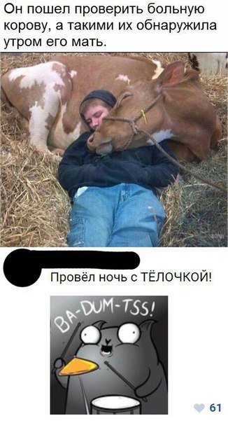 Картинки и мемы для настроения 005