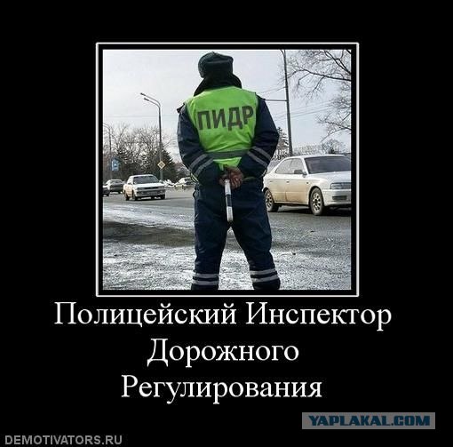 Будни гатчинской полиции