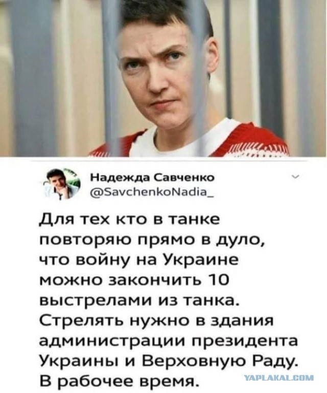 Форум на цугундере терки