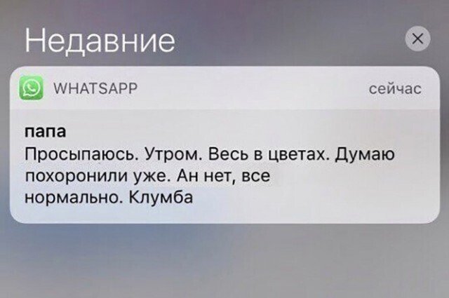 Алкопост 29.05.21