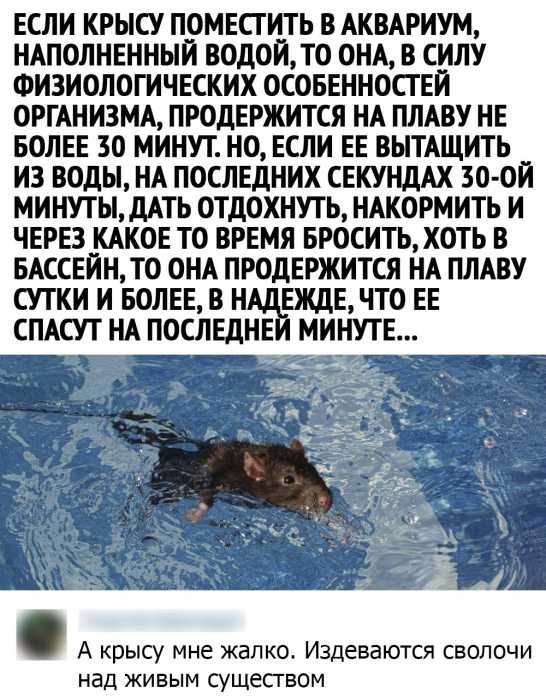 Картинки к пьятнице