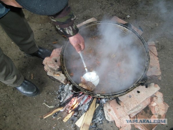 готовим плов