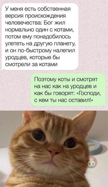 Картинки и мемы для настроения 28.06.2021