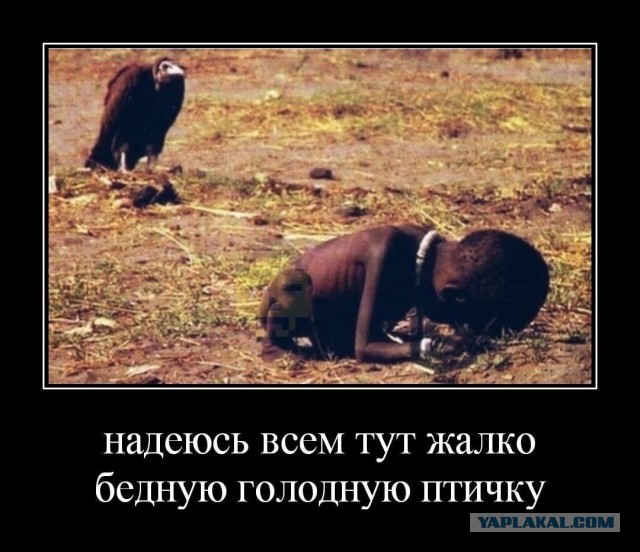 Аморальная деградация