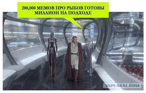 Подробное толкование мема "про рыбов и котиков" для чайников. Часть I