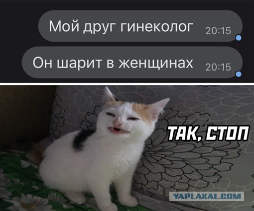 Картинки и мемы, всем отличных выходных