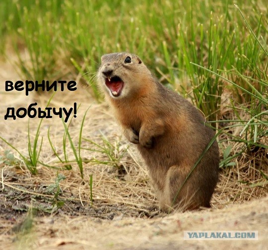 Мир не без добрых людей