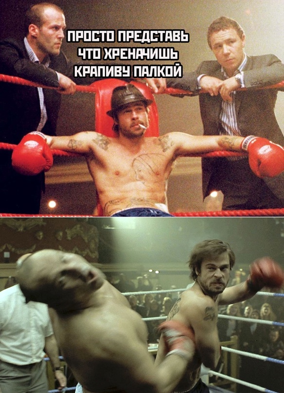 Весёлый полтишок 08.06.2022