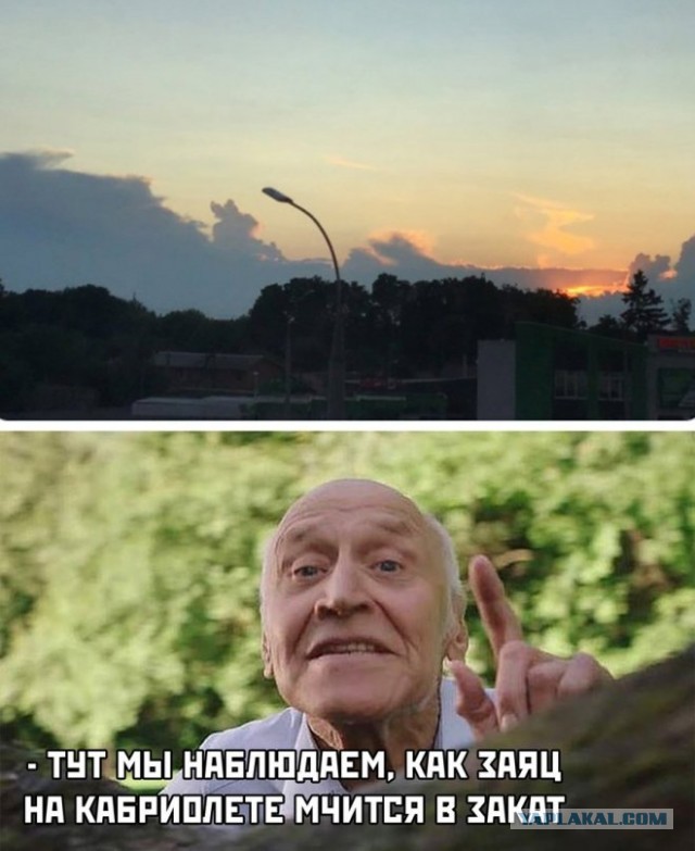 Картинки и мемы для настроения - 23