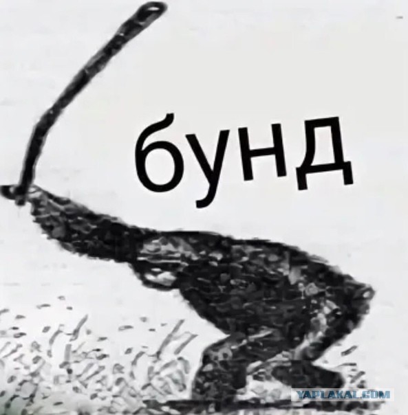 Картинка бунт мем