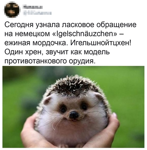 Немецкий язык жёсткий