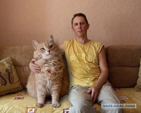 Кого из домочадцев кошка выбирает на роль «прислуги»