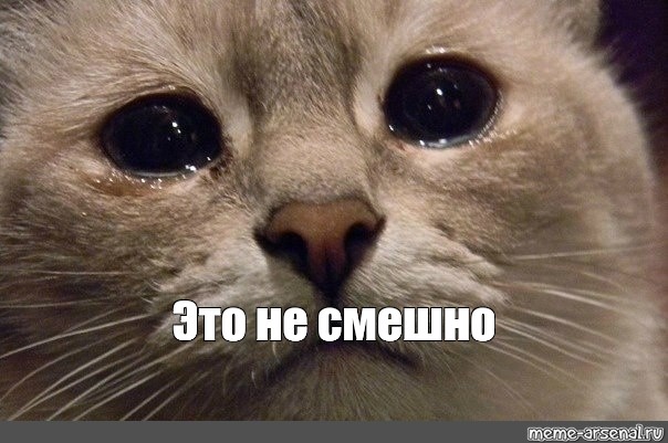Топ-15 самых популярных региональных брендов
