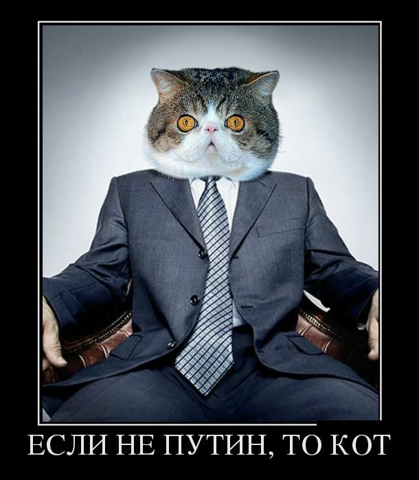 «Ножки Буша»: что скрывали американцы под видом «гуманитарной помощи» России