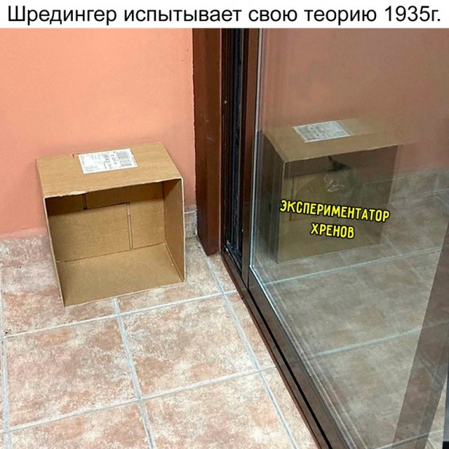 Забавные комментарии из социальных сетей 12.06.23