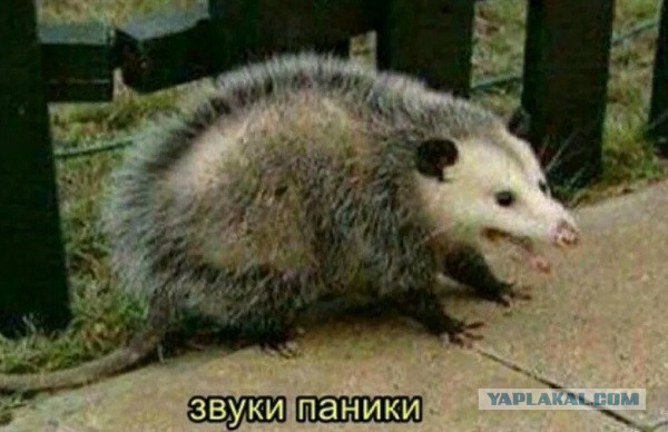 Развелась из-за запаха