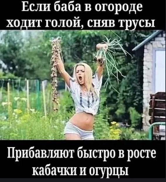 8 картинок с подписями, коллеги!