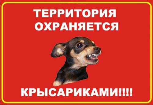 Перлы 12.10.23