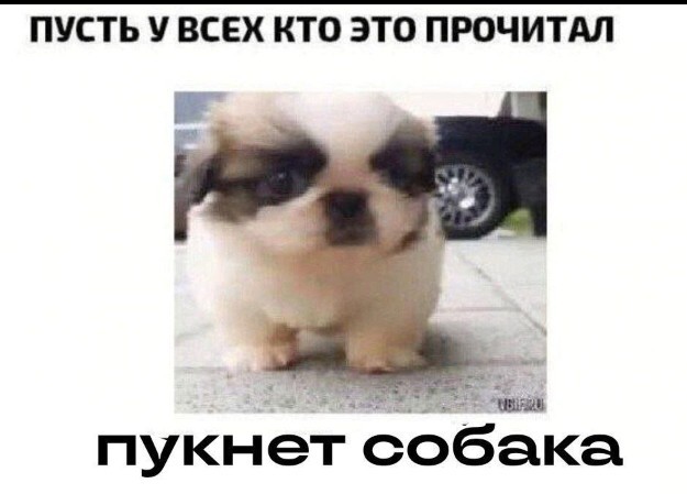 Всего понемногу. От 25.02.24