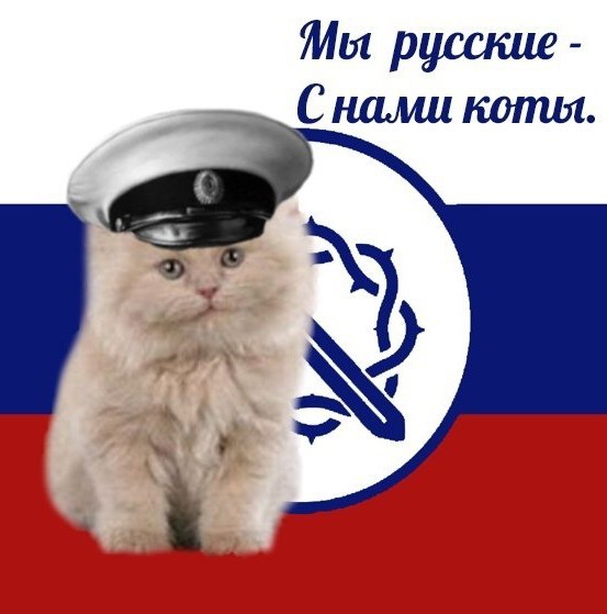 Русский и котики