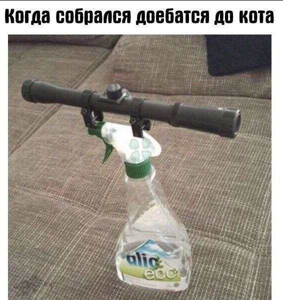 ТРРРидцать тРРРи от 7 мая