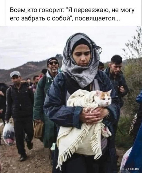 Нуштош 05.06.2024