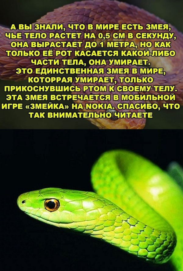 Среда, как рифма к пятнице