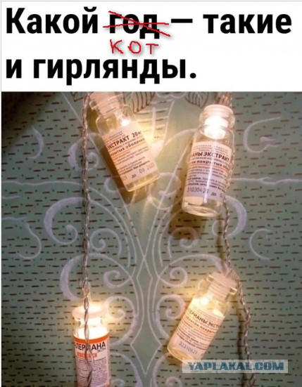Так себе картинки 01.12.24