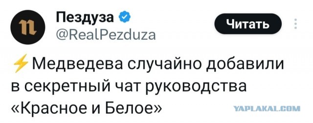 Так себе картинки 26.03.25