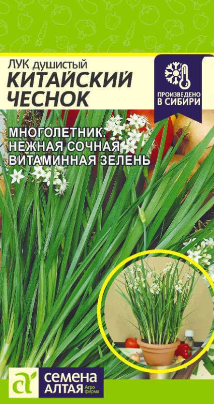 Любителям черемши.