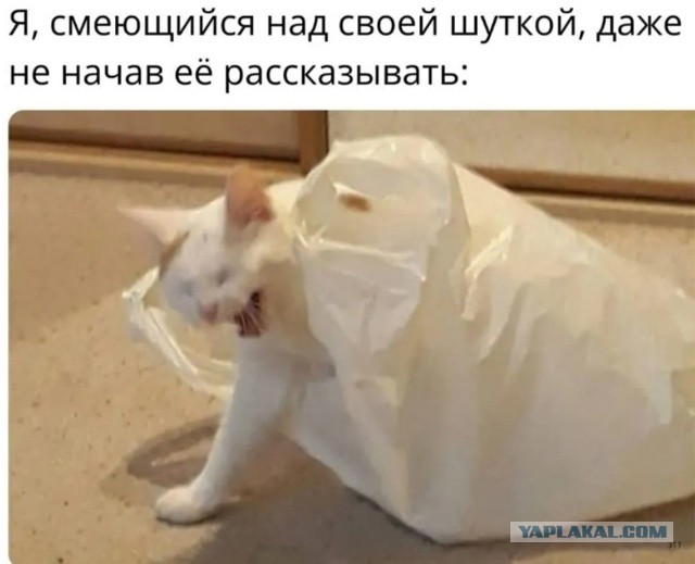 Веселые картинки в маленькую среду (30.07)