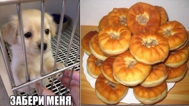 Пятничные 100м2 дичи