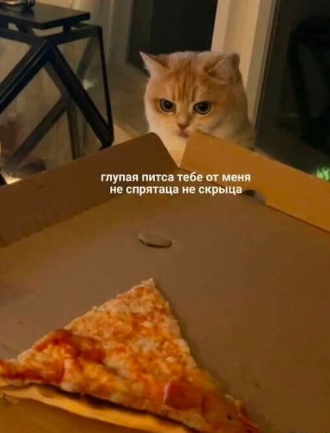 Так себе картинки 16.08.25