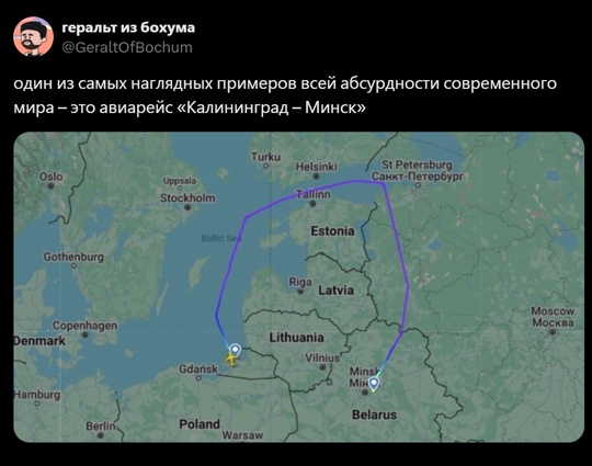 Весёлый полтишок 08.09.25