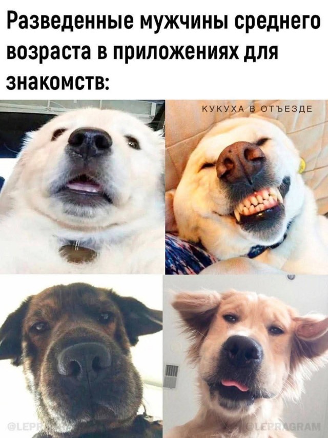 Картинки для деградации 62 (разной степени свежести)