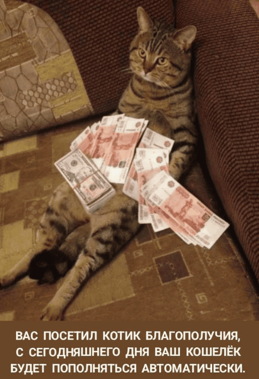 А собакочетверга у нас теперь больше нет?