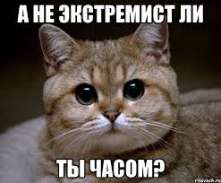 Забавный факт
