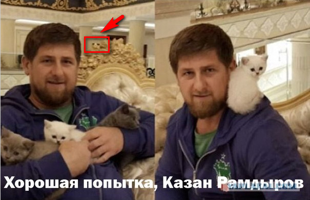 Можно к вам ЯПовцы