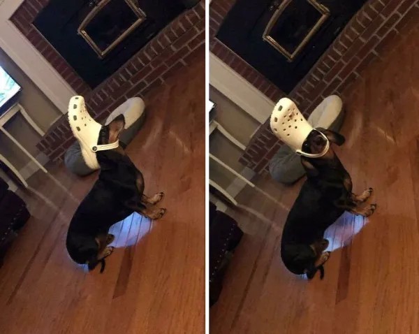 Забавные и интересные фото из Сети 23.04.26