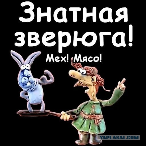 Идиот поселился...