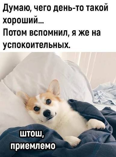 мемчики
