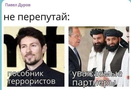 Картинки для деградации 250 (разной степени свежести)