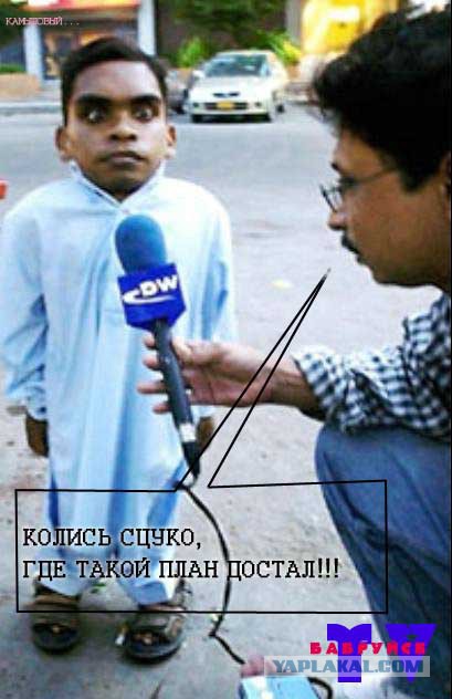 Весёлые картинки. Разбавим будни