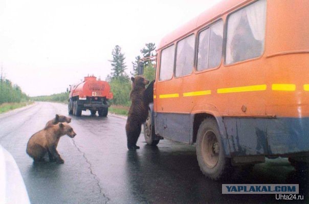 Странные люди, которых можно встретить в пути